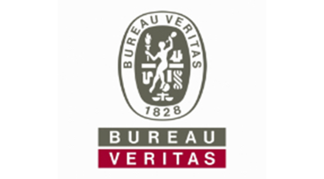 bureau veritas logo neu